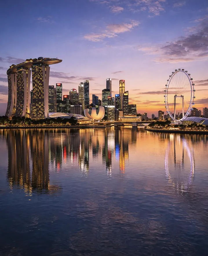 Dịch vụ thành lập công ty tại Singapore